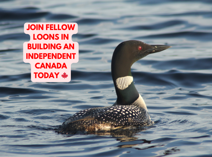 JOIN OTHER CANADIANS IN BUILDING AN INDEPDENT CANADA TODAY (3)