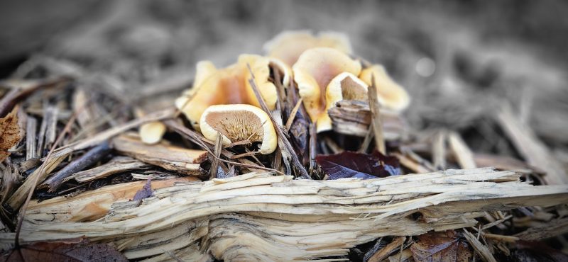 b1352ebb-4cbc-4730-ae2a-03ed94e7a38a-1_all_9116