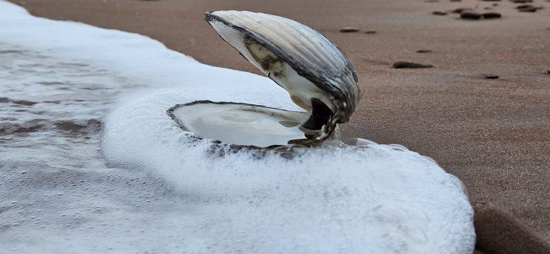 b1352ebb-4cbc-4730-ae2a-03ed94e7a38a-1_all_9268